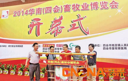 华南畜牧业博览会开幕 5000多名行业人士参会