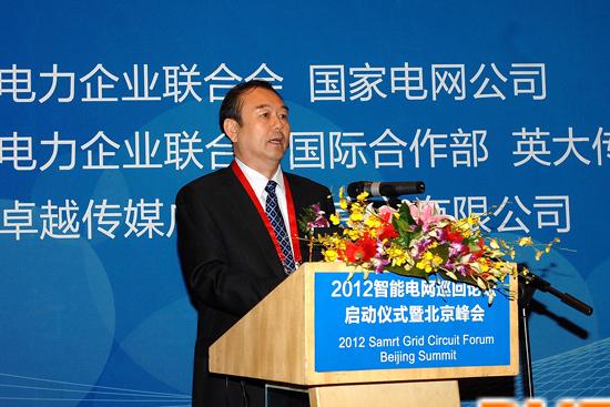 2012中国国际电力设备及技术展在京开幕 