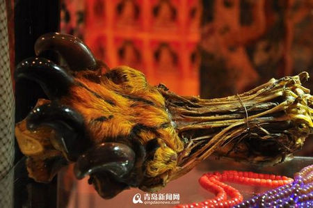 商贩珠宝节卖虎爪 每只2万引争议