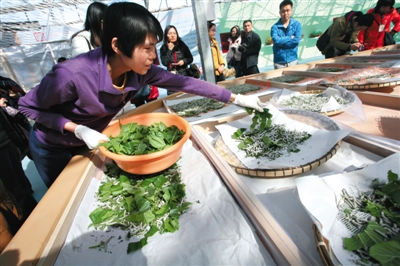 第三届北京农业嘉年华14日开幕