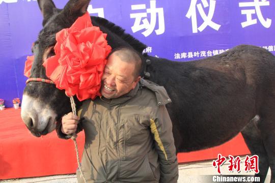 首届中国东北驴交易博览会：评选出“最美的驴”