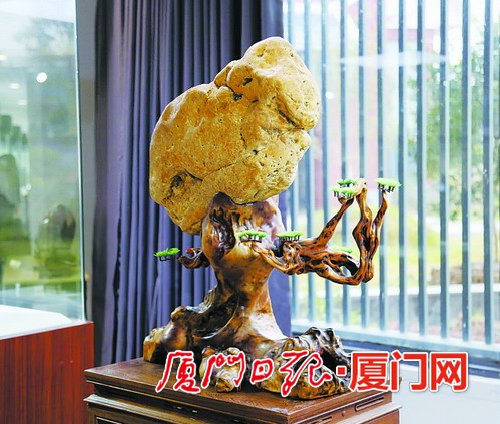 厦门首届观赏石博览会昨开幕 万件奇石珍品集体亮相