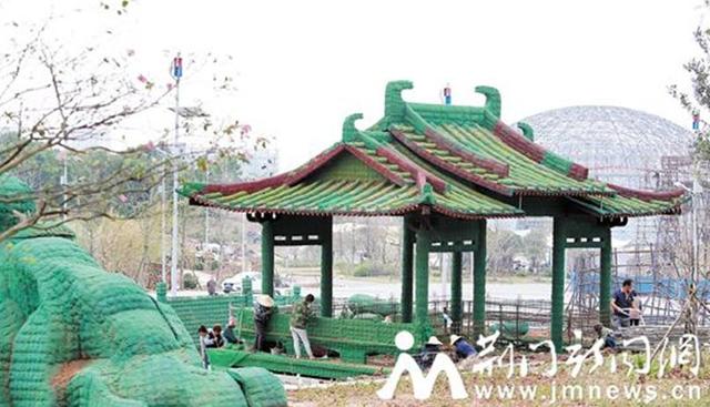 荆门将举办第12届中国菊展会 百万盆菊花竞风姿