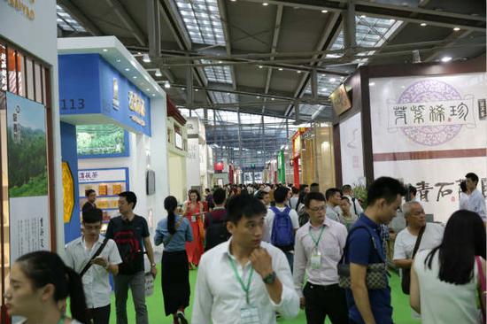第10届深圳茶博会开幕